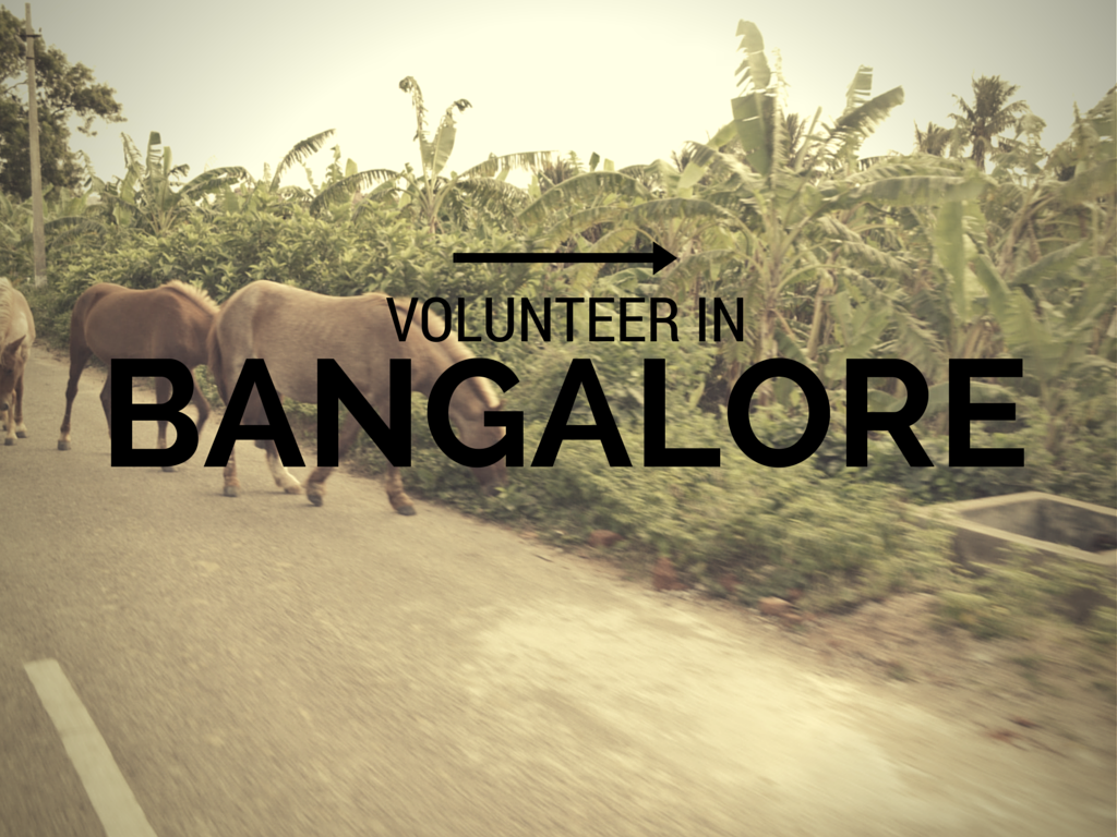 Volunteer in Bangalore