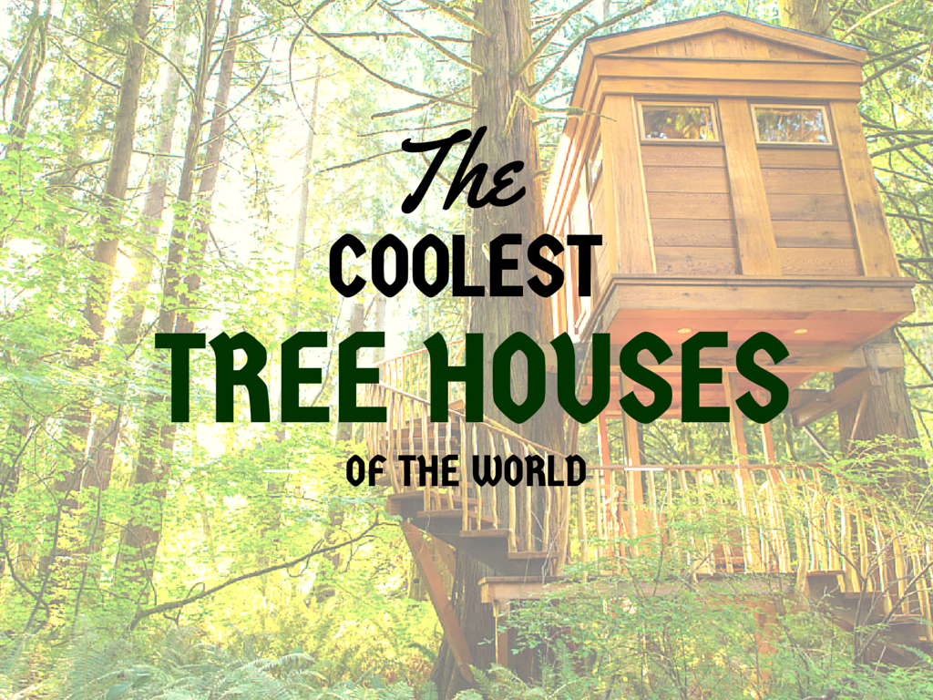 5 of The World’s Coolest Tree House Hotels