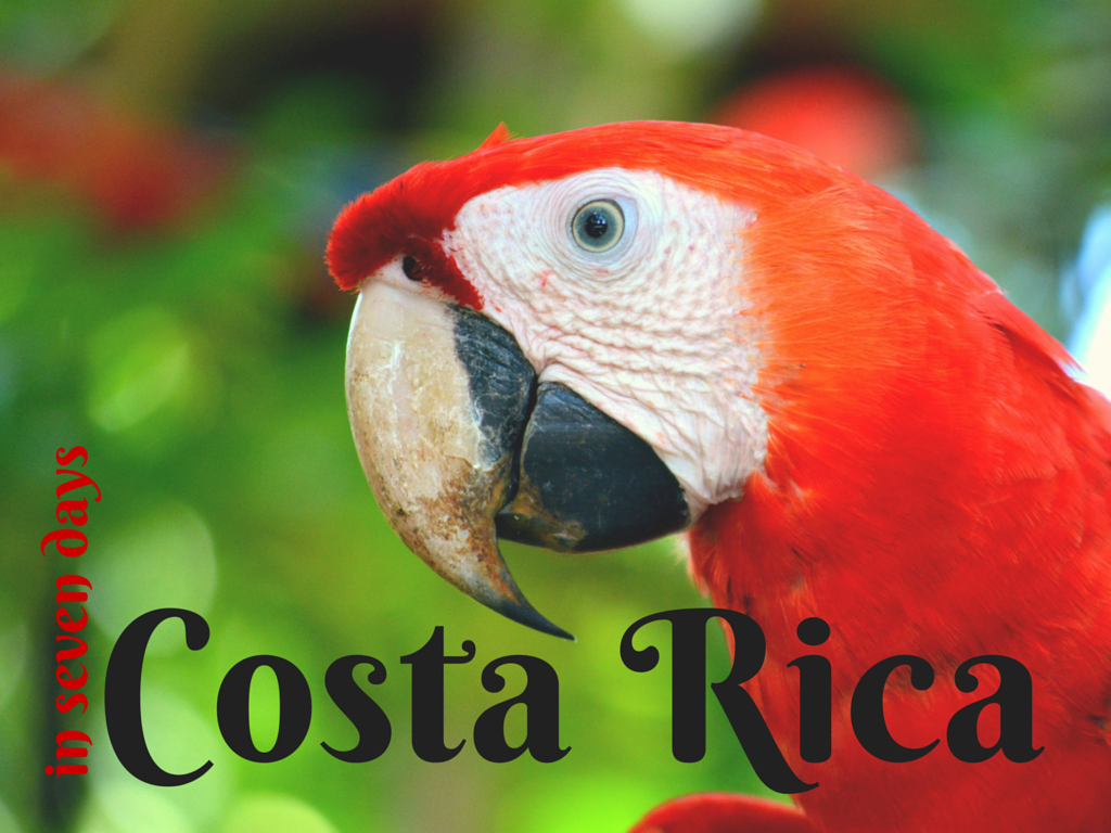 Costa Rica in 7 Days | Sustainable Travel