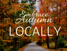 5 Ways to Embrace Local Travel in Autumn